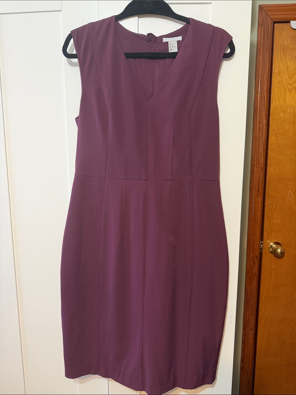 H&M Plum Sleeveless V-Neck Sheath Dress